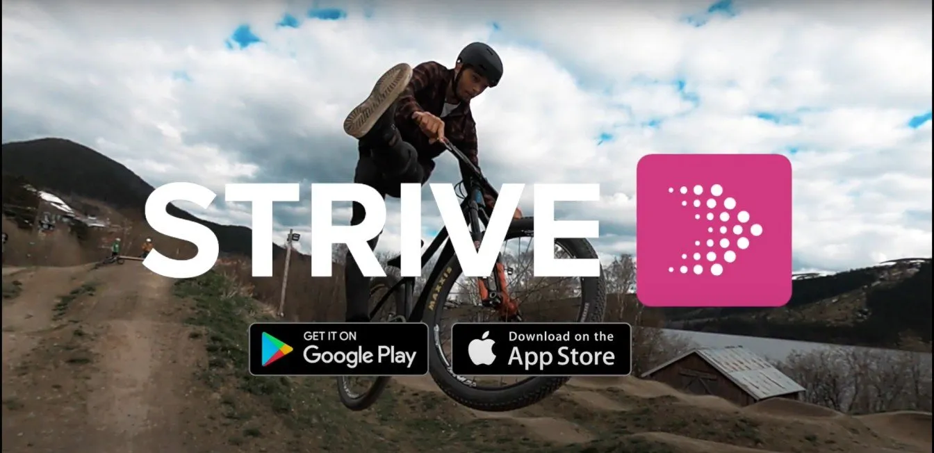 Strive project screen