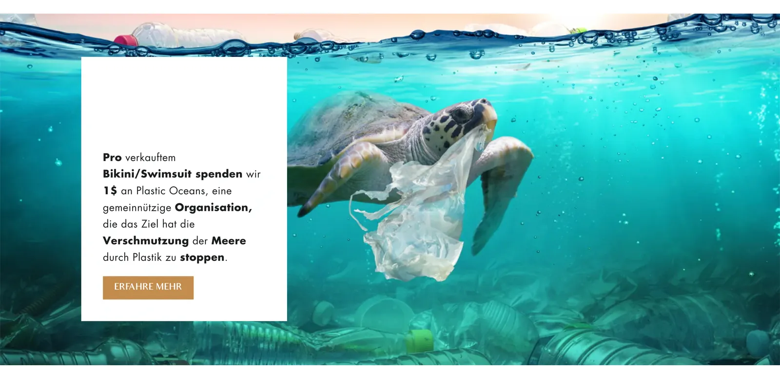 Sustainable Clothing Brand screen 4